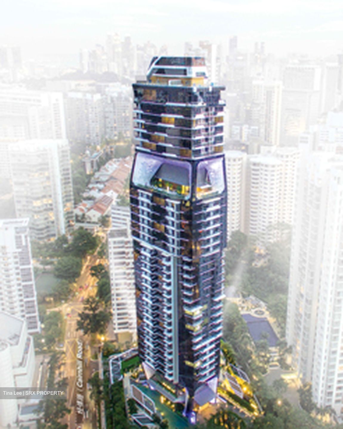 The Scotts Tower (D9), Condominium #309495361